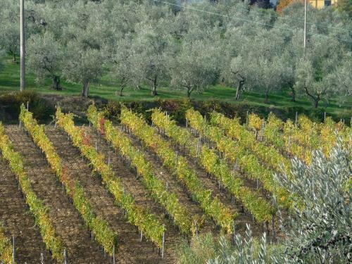Agroturismo Agriturismo Sottotono