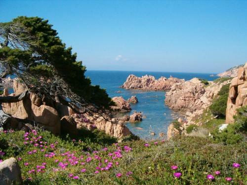 Village & Camping La Foce