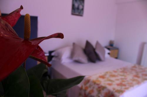 Aparthotel Albergo Residence Pucara