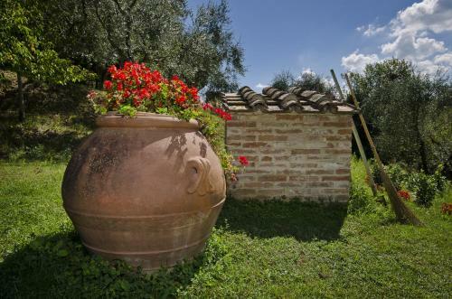 Agroturismo Agriturismo Il Sambuco