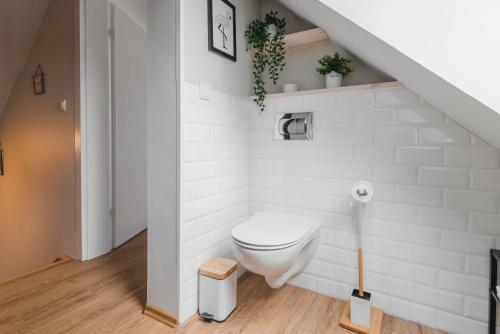 Nad Jeziorem By Downtown Apartments