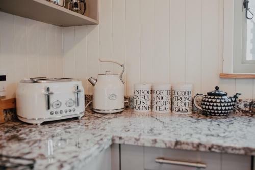 Boutique Twin Shepherds Hut Tranquil Nr Llandudno