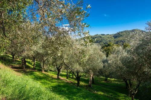 Altido Great House With Garden, Pool & Mountains View