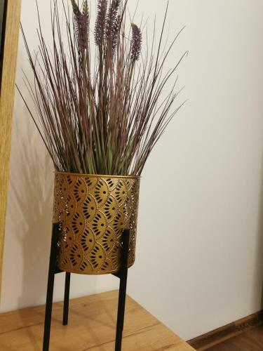 Apartament Woda Morska