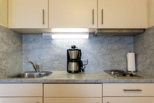 Apartamento Ferienwohnpark Immenstaad Am Bodensee Ein-zimmer-apartment 55 32