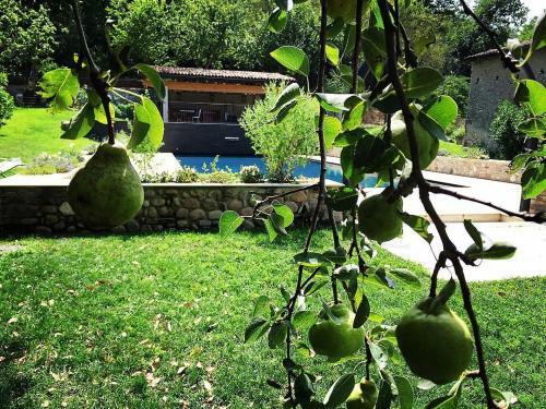 Agroturismo Agriturismo Solimago