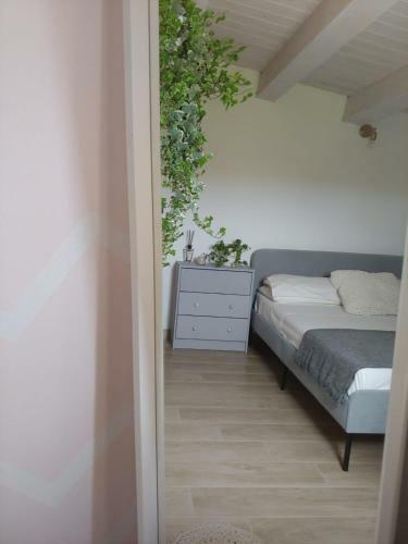 Casa Vacanze Il Primo Fiore