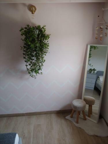 Casa Vacanze Il Primo Fiore