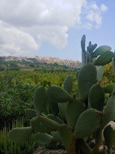 Casa Vacanze Il Primo Fiore