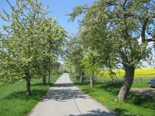 Apartamento Ferienhof Sch�nfelder