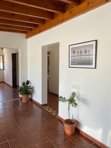 Villa El Olivar Lolo Suites