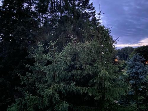 Apartamento Waldwerk Wurlgrund Lychen
