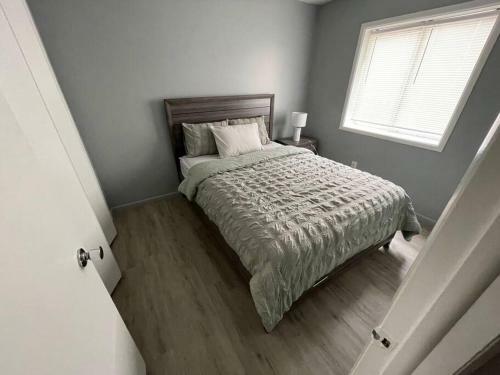 Affordable One Bedroom Apartment (13) Sleeps 4