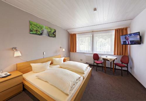 Hostal Hotel Restaurant Ketterer Am Kurgarten