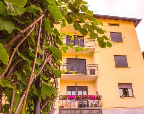 Apartamento Culla Alpina 3�piano