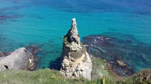 Apartamento Samicri