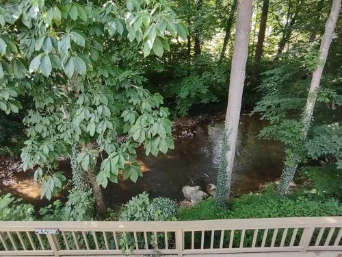 Apartamento 63 Smoky Mountain Elk Lodge