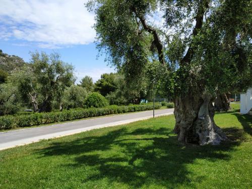 Apartamento Villetta Le Macine 23- Pugnochiuso Resort