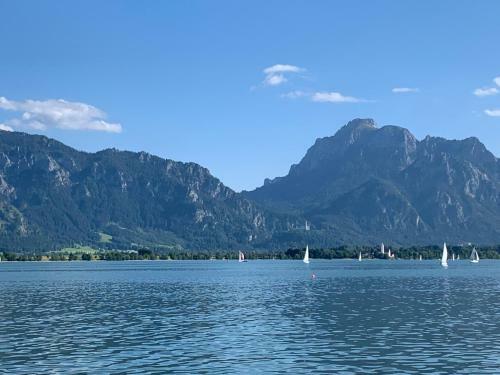 Apartamentos Alpina - Ferien Mit Herz