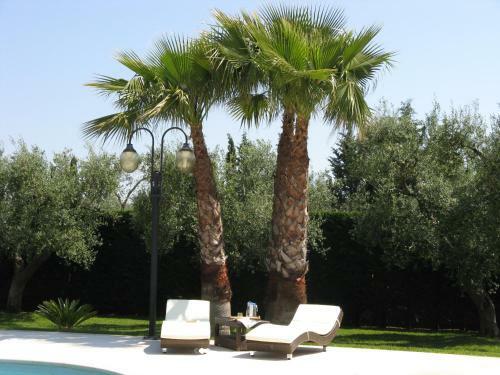 B&B Villa Vittoria