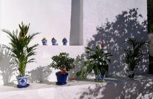 Hostal Pilar Alto Guest House