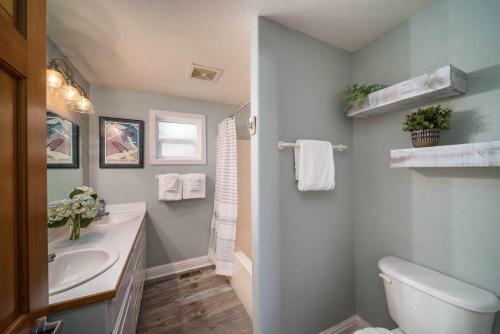 Madison St 2 Sf 19 Puffin Nest