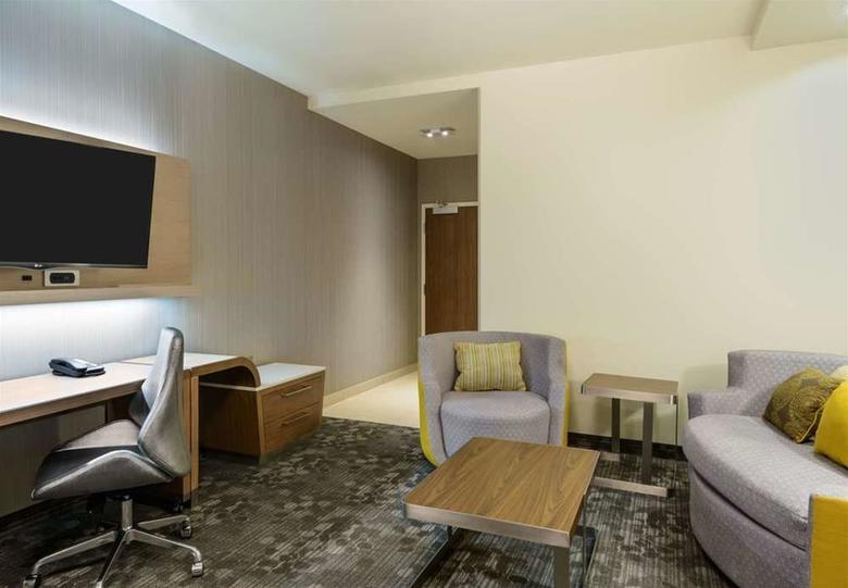 Hotel Courtyard By Marriott Buffalo Downtown/canalside