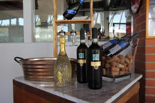 Campeggio Partaccia 1