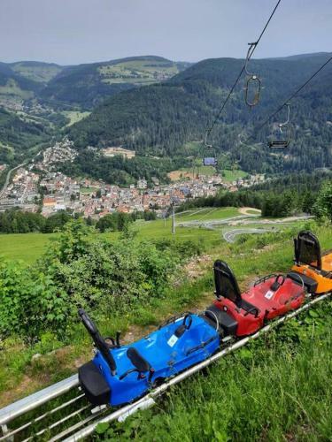Apartamento 2-zimmer Ferienwohnung-einklang Im Sch�nen S�dschwarzwald