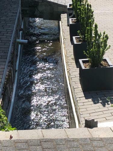 Apartamento Fewo Am M�hlbach