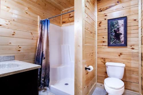 Swimming Bears Lodge Two Cabins With Pools And Hottubs