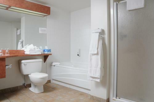 Hotel H�tel Au Petit Berger