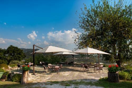 Agroturismo La Vecchia Quercia