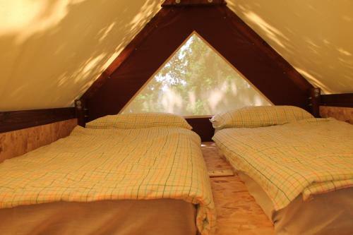 Agroturismo Agriturismo Il Castoro