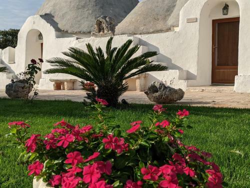 Agroturismo Agriturismo Masseria Casedde Vecchie