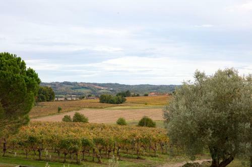 Le Loft At Domaine Laffont