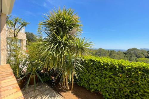 2 Room Apartment With Terrace - Montauroux