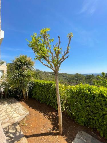 2 Room Apartment With Terrace - Montauroux