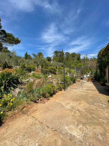 2 Room Apartment With Terrace - Montauroux