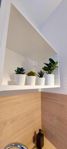 Apartamento Artpink - Id�al Pros - Proche Commerces - Agathor