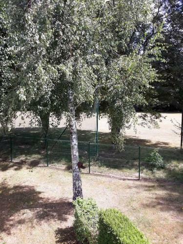 Les Cottages Du Golf � Ploemel