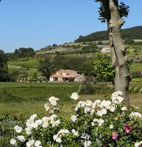 Bed & Breakfast Domaine De Peilhan