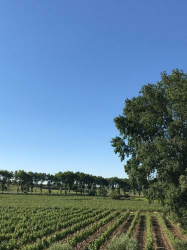 Bed & Breakfast Domaine De Peilhan
