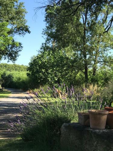 Bed & Breakfast Domaine De Peilhan
