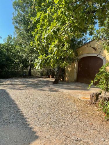 Le Grand Bois De La Cour