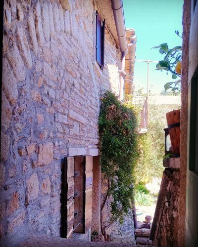 Bed & Breakfast Antica Corte Panego