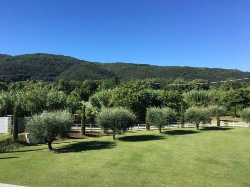 Bed & Breakfast Dolce Dormire Suite