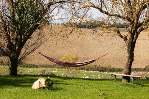 Agroturismo Agriturismo Casa Colsereno