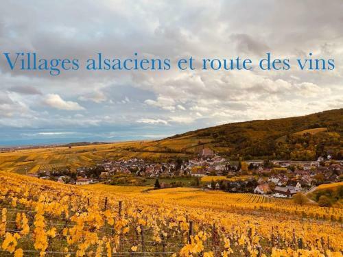 Apartamento New L'industr'ill Au C?ur De L'alsace