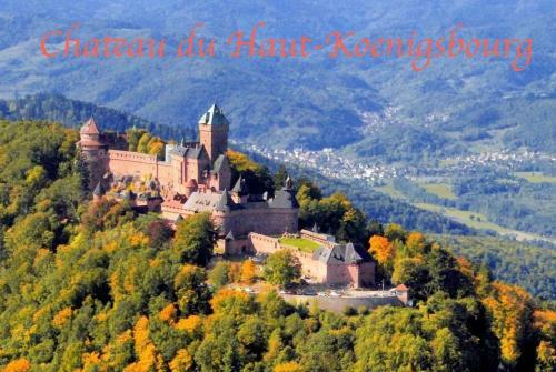 Apartamento New L'industr'ill Au C?ur De L'alsace
